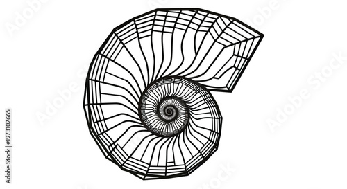 Black outline of a spiraling nautilus shell with segmented chambers
