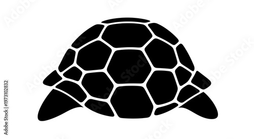 Black and white abstract graphic of a stylized turtle shell and flippers