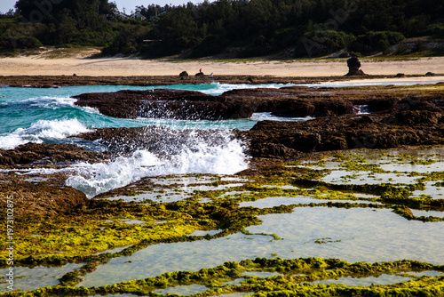 日本の離島、奄美大島に広がる豊かなサンゴ礁の景観。