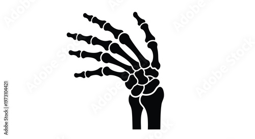 This stark black silhouette depicts a human hand rendered as a skeletal structure showcasing the bones of the wrist and fingers high quality professional