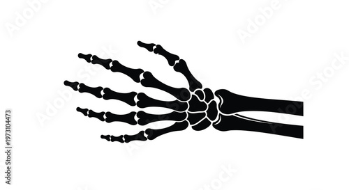 A stark black and white silhouette depicts a human hand s skeletal structure showcasing the bones of the fingers palm and wrist high quality
