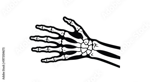 A stark black and white illustration depicts the skeletal structure of a human hand showcasing the bones and joints in detail high quality professional