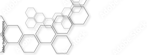 Vector Hexagonal cells patterns arranged with transparent shadows effect with futuristic design and interconnected structure for digital graphic and engineering concept and technology innovation