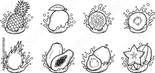 Collection of vintage botanical and insect illustrations on white background Vector