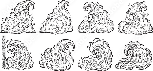 A collection of medieval european heraldic lion designs in black and white Vector