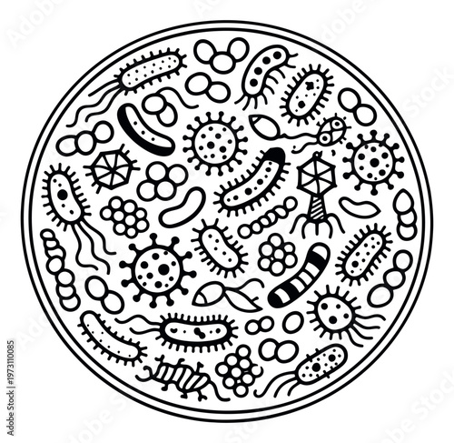 Hand drawn line art microorganisms set featuring various bacteria, viruses, and microbes for scientific and medical themes