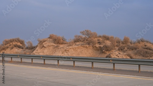 Sand dunes covered with saxaul (Haloxylon) early spring view. Kazakhstan.. R-21 highway. Almaty region. Bodokhudzir. 