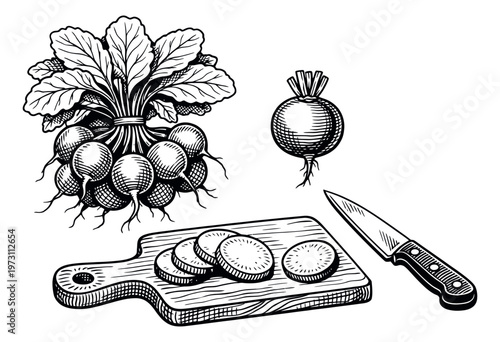 Hand drawn line art vegetable set featuring radishes, a cutting board, and a knife for cooking preparation