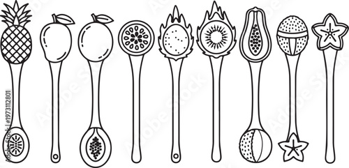 Various botanical specimen collection tools with decorative handles Vector