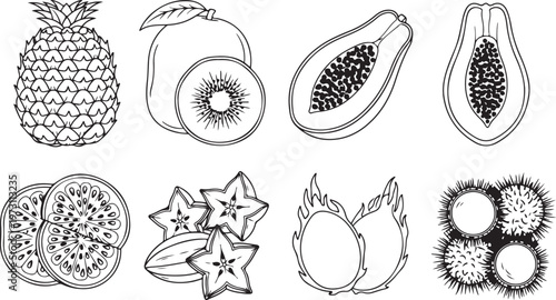 Illustrations of various fruits and vegetables with intricate patterns Vector