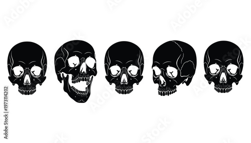 Vector set of five different human skulls in black and white style