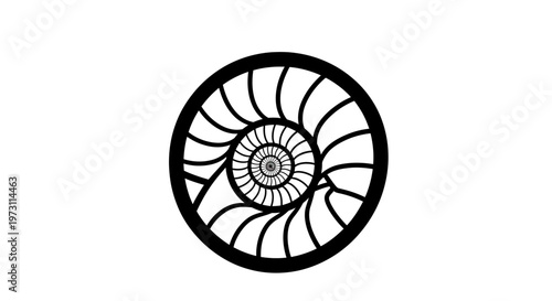 A monochrome Fibonacci spiral in a circular frame, expanding inwards