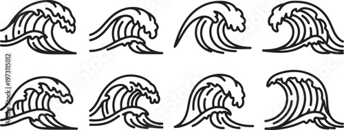 Elegant black and white line drawings of swirling sea shells Vector