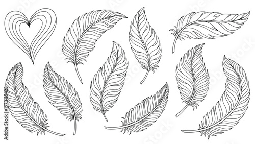 Collection of delicate hand drawn feathers in various artistic styles is accompanied by a linear heart shape design.