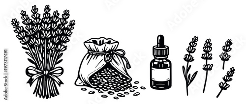 Hand drawn line art set featuring lavender bouquet, sachet, dropper bottle and sprigs for wellness and aromatherapy products