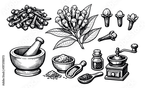Hand drawn line art clove set featuring whole and ground cloves, a plant, and spice preparation tools for culinary and herbal uses