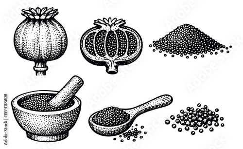 Hand drawn line art poppy seed elements set featuring pods, loose seeds, mortar, and spoon for culinary applications