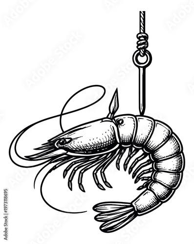 Hand drawn line art illustration of a shrimp depicting bait on a hook for fishing