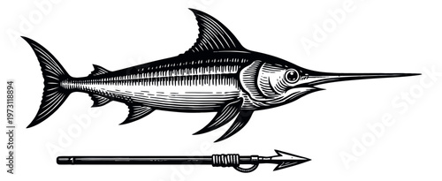 Vintage hand drawn line art illustration of a swordfish and a harpoon depicting ocean hunting for a marine wildlife concept