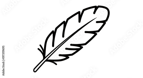 Minimalist line drawing of a feather, angled diagonally upwards