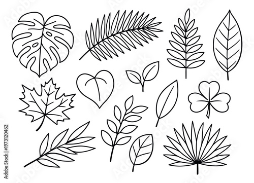 Hand drawn line art leaves set featuring various tropical and deciduous foliage for decorative design