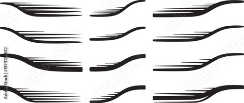 Close-up views of various species of stick insects on a white background Vector