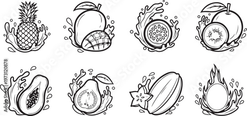 Illustrations of various shells with intricate patterns and details Vector