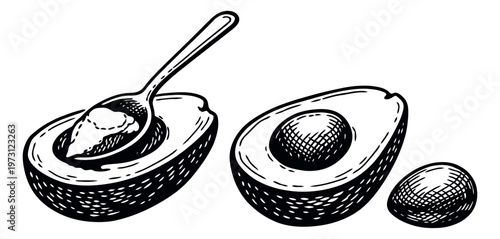 Hand drawn line art avocado set featuring halves, a pit, and a spoon scooping pulp for healthy eating