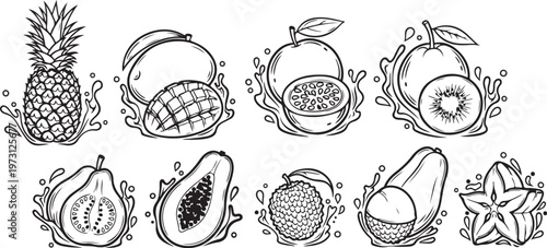 Detailed anatomical sketches of various sea creatures and marine life forms Vector