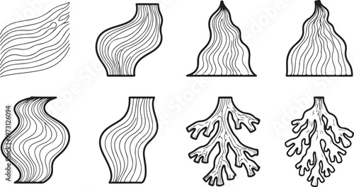 Sketching various styles of bird heads and beaks with detailed feathers Vector