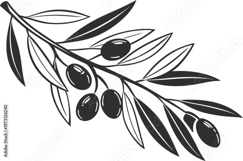 Fresh Olive Branch with Green Leaves Symbolizing Mediterranean Agriculture Natural Organic Food Source




