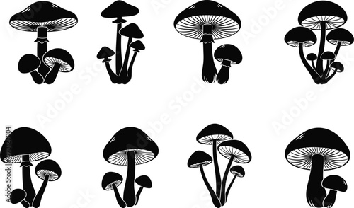 Mushroom silhouette vector set featuring wild fungi collection, forest botanical elements, organic shapes, nature illustration, edible and poisonous species design