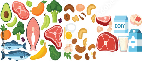 Healthy food vector collection set with fish meat nuts milk fruits vegetables balanced diet nutrition illustration isolated on white background