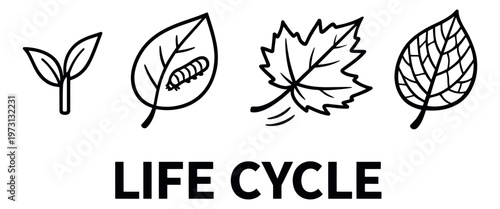 Hand drawn line art life cycle icon set featuring a seedling, a caterpillar on a leaf, and assorted leaves for ecological and botanical concepts