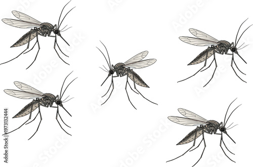 Realistic mosquito insect vector collection set with detailed flying mosquitoes pest illustration isolated on white background for medical and biology design