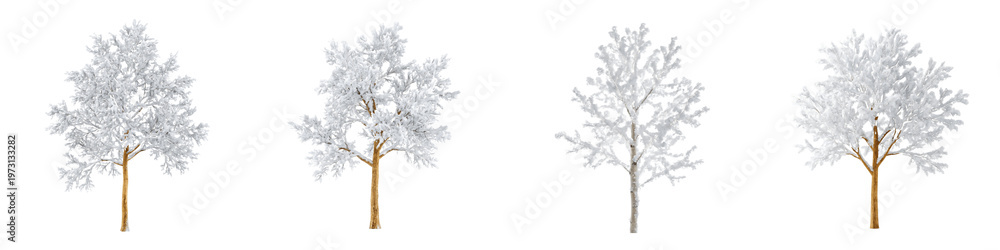 Fototapeta premium Snow Covered Trees Isolated PNG Winter Nature Set