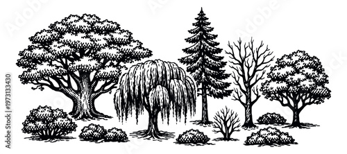 Hand drawn line art tree and bush set featuring various deciduous and coniferous trees and shrubs for landscape and garden design