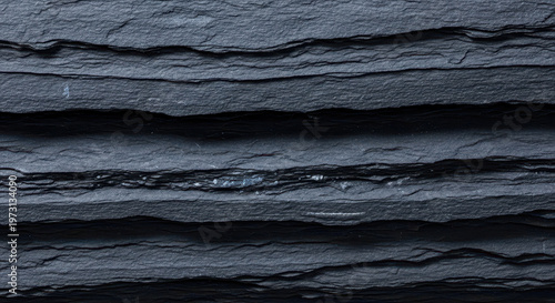 Abstract Black and White Textured Surface