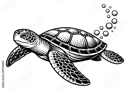 Hand drawn line art illustration of a sea turtle depicting it swimming with bubbles for aquatic designs