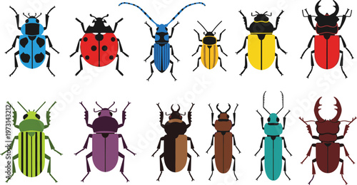 Colorful Beetle Insect Icon Set Featuring Various Bug Species with Detailed Shapes for Entomology, Nature, Wildlife, and Scientific Design