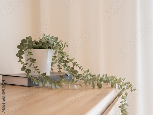 Potted greenery on wooden table in cozy interior
