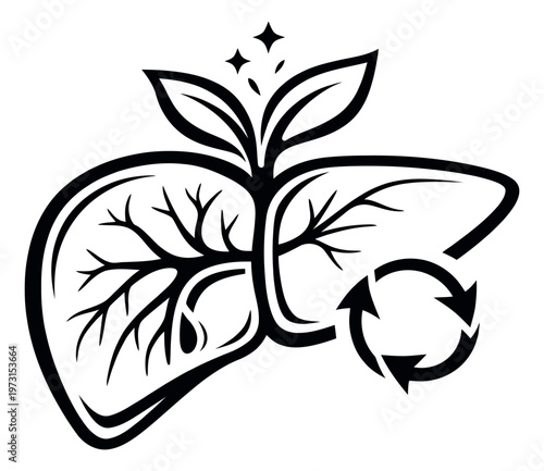 Hand drawn line art illustration of a human liver depicting natural health and regeneration for medical and wellness designs