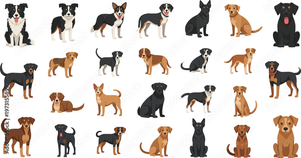 Fototapeta premium set of silhouettes of animals