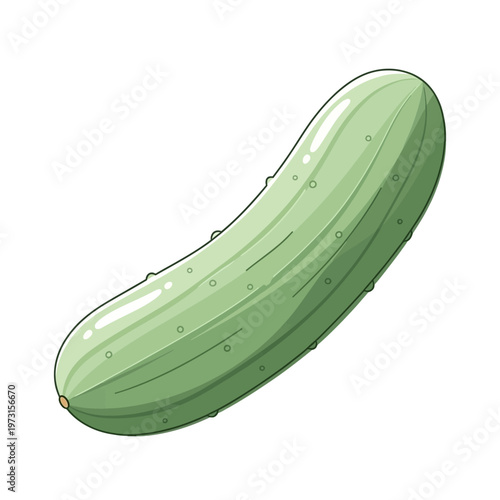 Fresh Green Cucumber Illustration