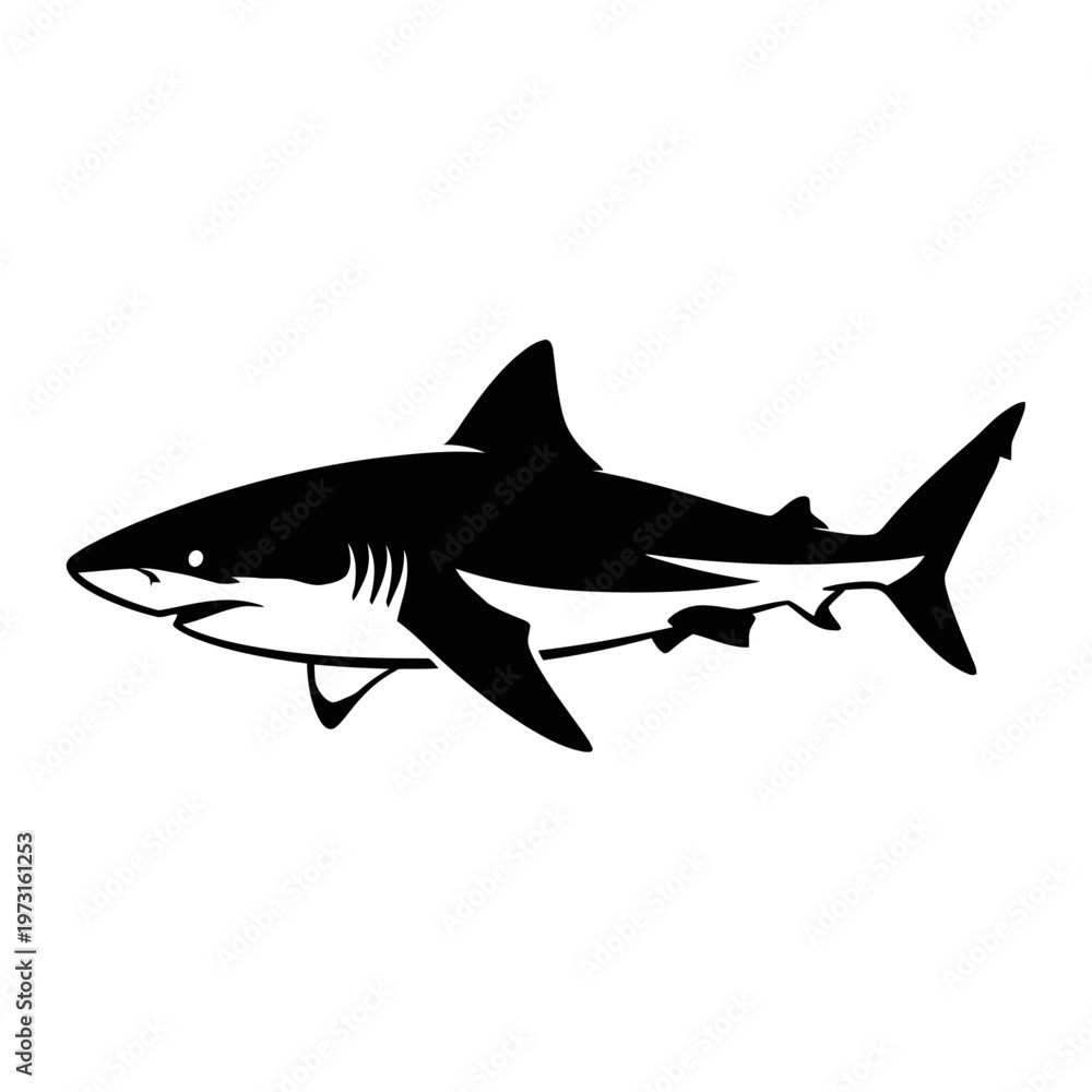 Fototapeta premium Dynamic black and white vector illustration of a powerful ocean shark, captured in a streamlined silhouette, perfect for striking logos, icons, and marine-themed designs