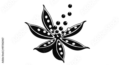 Anise star spice with falling seeds, a fragrant culinary ingredient