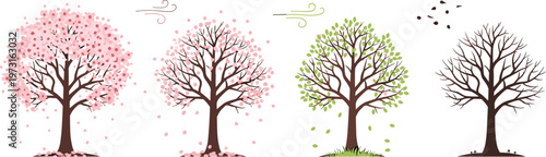 Set of Tree Seasonal Changes Showing Spring Blossom, Summer Green Leaves, Autumn Wind, and Winter Bare Tree Illustration