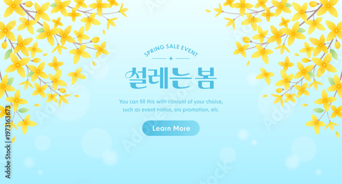 Spring sale event banner template with yellow forsythia flowers on light blue background. Fresh spring blooming vector illustration with copy space. (Translation: Blooming Spring)