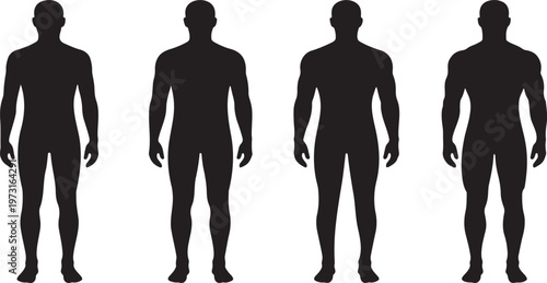 Silhouette set representing the stages of male body transformation from a lean physique to a highly muscular and athletic build