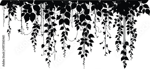 hanging ivy vines and creepers silhouette. hanging jungle vines and tropical liana plants create a dense forest foliage border effect for design. vector illustration
